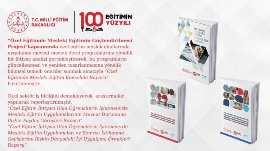 Özel Eğitimde Mesleki Eğitimin Güçlendirilmesi